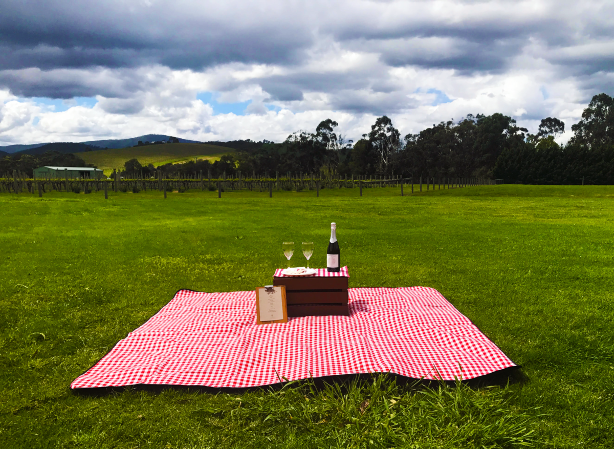 Lunch in the Green: DiVino Ristorante PicNic Basket