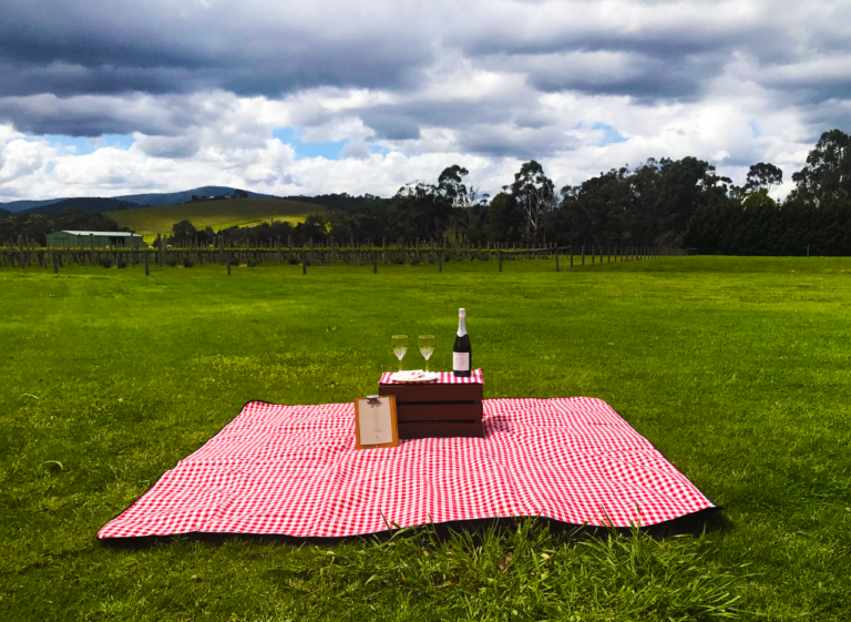 Picnic basket Divino ristorante